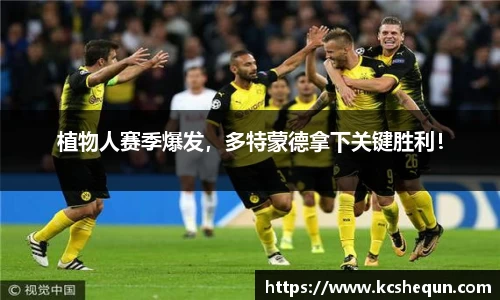 半岛体育