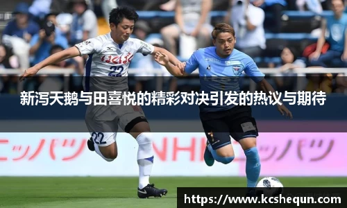 半岛综合体育